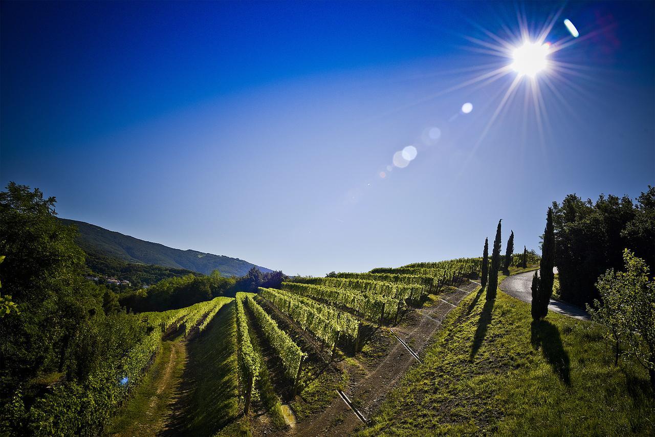 Venica & Venica Wine Resort Dolegna del Collio Zewnętrze zdjęcie