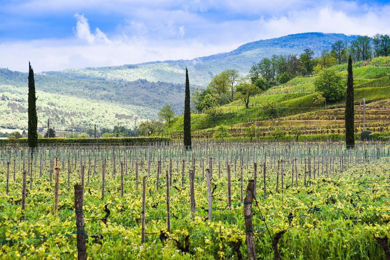 Venica & Venica Wine Resort Dolegna del Collio Zewnętrze zdjęcie